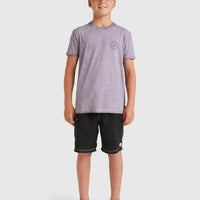 BILLABONG BOYS BIG WAVE DAZ T-SHIRT - PURPLE ASH