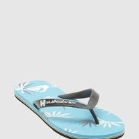 QUIKSILVER MOLOKAI ART MENS THONGS