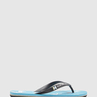 QUIKSILVER MOLOKAI ART MENS THONGS