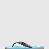 QUIKSILVER MOLOKAI ART MENS THONGS
