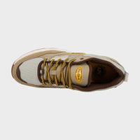 DC ASCEND LE - BROWN/GUM
