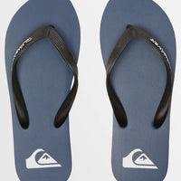 QUIKSILVER MOLOKAI CORE MENS THONGS