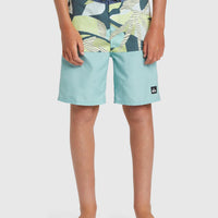 QUIKSILVER EVERYDAY DIVISION YTH 17'' BOARDSHORTS