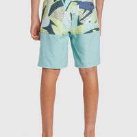QUIKSILVER EVERYDAY DIVISION YTH 17'' BOARDSHORTS