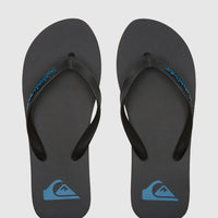 QUIKSILVER MOLOKAI CORE MENS THONGS