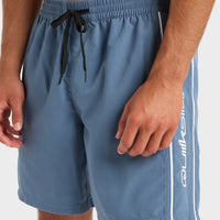 QUIKSILVER EVERYDAY VERT VOLLEY 17NB - CHINA BLUE