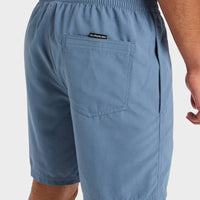 QUIKSILVER EVERYDAY VERT VOLLEY 17NB - CHINA BLUE