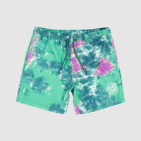 SANTA CRUZ INDUSTRIAL DOT MONO BOARDSHORT - LIGHT GREEN TIE DYE