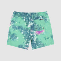 SANTA CRUZ INDUSTRIAL DOT MONO BOARDSHORT - LIGHT GREEN TIE DYE