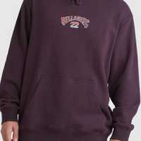 BILLABONG BEACH DAYS POP HOOD