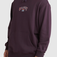 BILLABONG BEACH DAYS POP HOOD