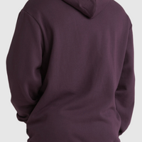 BILLABONG BEACH DAYS POP HOOD