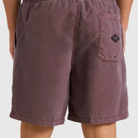 BILLABONG ALL DAY OVD LAYBACK SHORTS - PPJO
