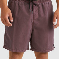 BILLABONG ALL DAY OVD LAYBACK SHORTS - PPJO