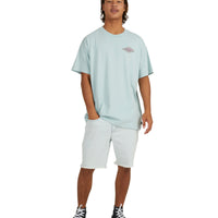 BILLABONG CRAYON WAVE SS