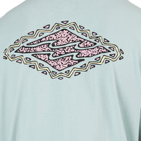BILLABONG CRAYON WAVE SS
