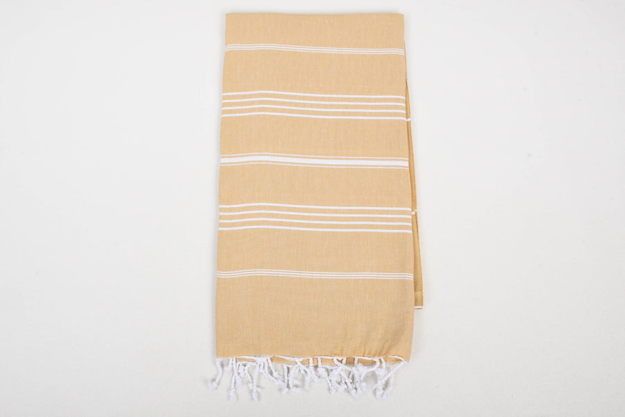 Handwoven Turkish Cotton Baby Blue / Beach Towel