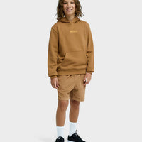QUIKSILVER QUIK GLOBE HOODIE YOUTH - TABACCO BROWN