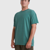 BILLABONG PREMIUM WAVE WASH SHORT SLEEVE - JUNGLE