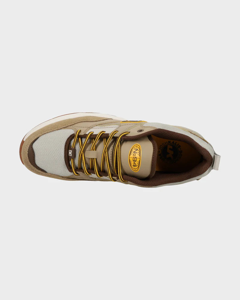 DC ASCEND LE - BROWN/GUM