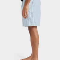 QUIKSILVER EVERYDAY VERT VOLLEY 17NB - QUARRY
