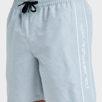 QUIKSILVER EVERYDAY VERT VOLLEY 17NB - QUARRY