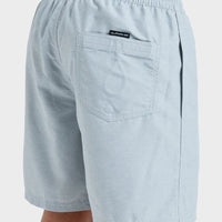 QUIKSILVER EVERYDAY VERT VOLLEY 17NB - QUARRY