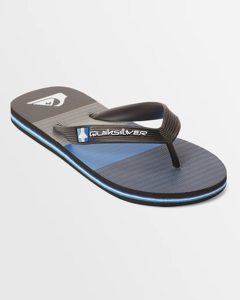 QUIKSILVER BOYS MOLOKAI ART YOUTH - BLUE