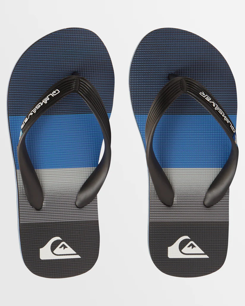 QUIKSILVER BOYS MOLOKAI ART YOUTH - BLUE