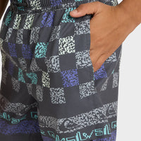 QUIKSILVER EVERYDAY STRAIGHT VOLLEY BOYS  - IRON GATE NEXT GEN