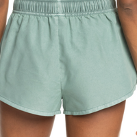 ROXY NO BAD WAVES BOARDSHORTS