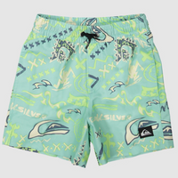 QUIKSILVER NEXT GEN VOLLEY BOARDSHORT BOY