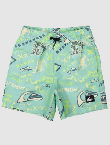 QUIKSILVER NEXT GEN VOLLEY BOARDSHORT BOY