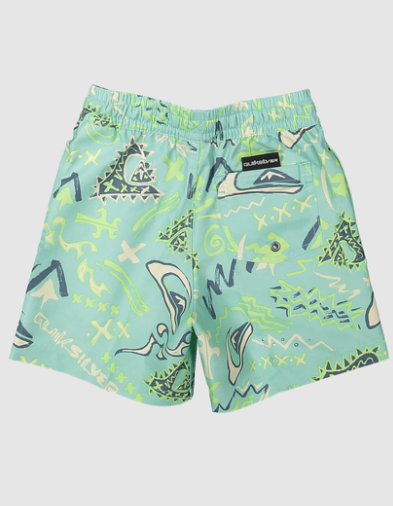 QUIKSILVER NEXT GEN VOLLEY BOARDSHORT BOY