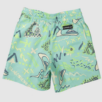 QUIKSILVER NEXT GEN VOLLEY BOARDSHORT BOY