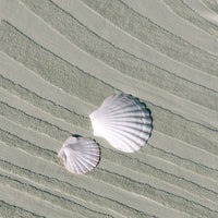 LAYDAYS TIDE BEACH TOWEL - SEAGRASS