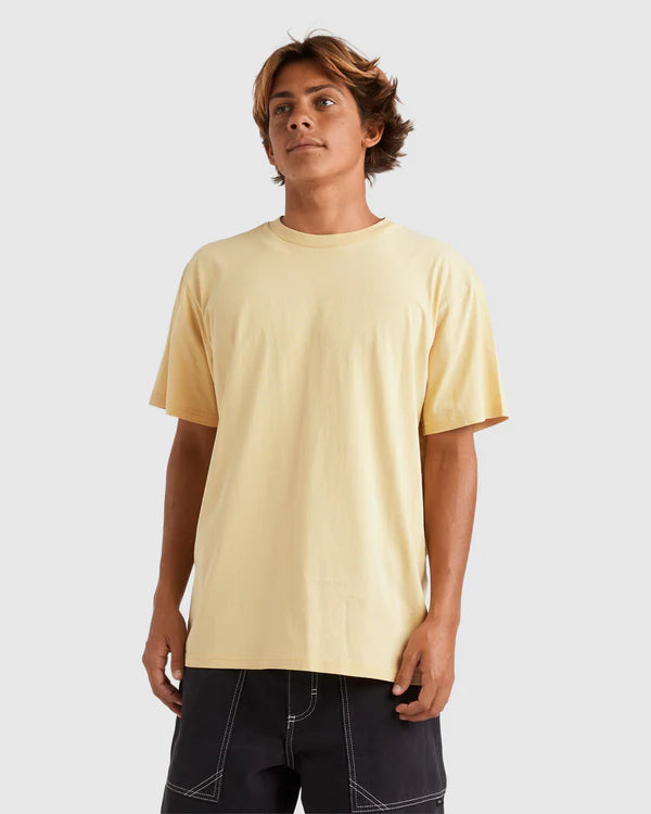 QUIKSILVER SALT WATER CREW TEE - RATTAN