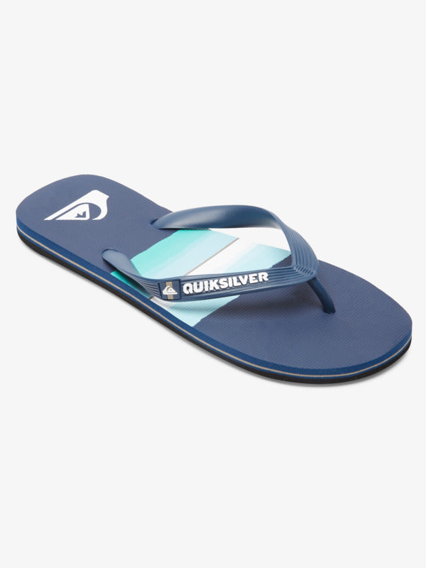 QUIKSILVER MOLOKAI RESIN TINT