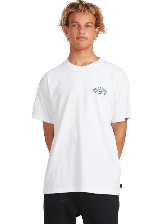 BILLABONG ARCH SHADOW SHORT SLEEVE TEE - MULTIPLE