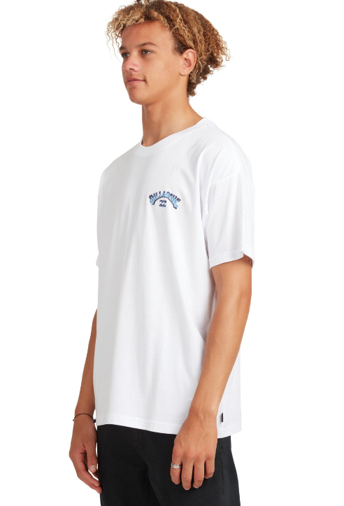 BILLABONG ARCH SHADOW SHORT SLEEVE TEE - MULTIPLE