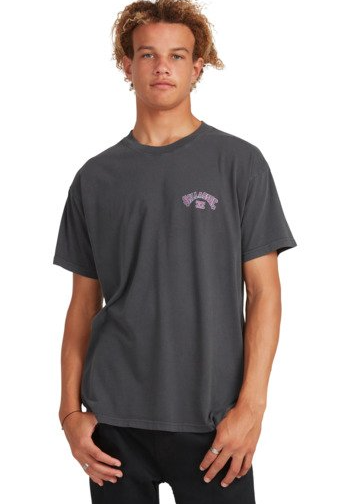 BILLABONG ARCH SHADOW SHORT SLEEVE TEE - MULTIPLE