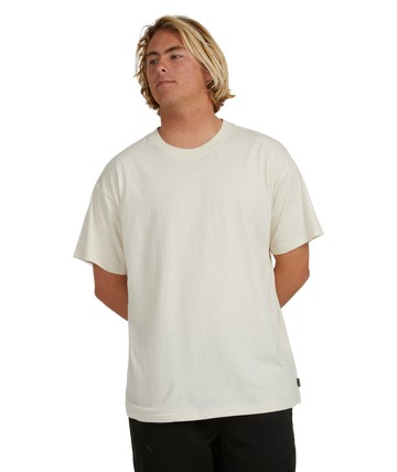 BILLABONG PREMIUM WAVE WASH SHORT SLEEVE SHOP ONLINE WITH CHOZEN SURF