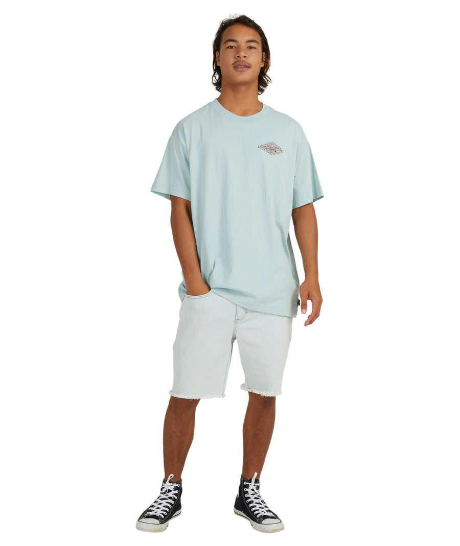 BILLABONG CRAYON WAVE SS